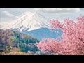 10 Hours of Relaxing Music • Sleep Music, Soft Piano Music & Healing Music by Soothing Relaxation