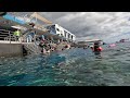 그레이트 베리어 리프 스노쿨링 (Great Barrier Reef Snorkeling)