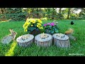 TV For Cats | Begonias and Dahlias | Bird and Squirrel Watching | Video 23