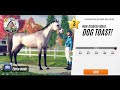 BREEDING BEAUTIFUL PURE WHITE ARABIANS | RIVAL STARS HORSE RACING