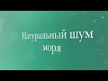 Контракт моряка за 4 часа, часть первая