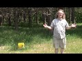 Eliminate Annoying Mosquitoes for FREE!  The Secret to a Mosquito Free Back Yard.