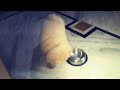 chow chow scratching