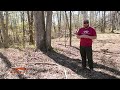 Deer Hunting Big Timber Bucks | Bow Hunting Tips