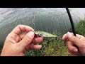 Salmo Thrill review: The best asp fishing lure? Let's try to catch a big asp! Tsurinoya Jaguar 4000