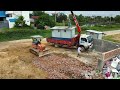 Starting a New Project!! 5-ton Truck and Dozer KOMATSU D20 Push Stone Parking Construction