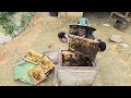 Spraying video 168 days of exploiting wild honey for propagation - ha thi muon