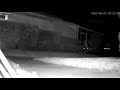 Insect/Spider on Night Cam
