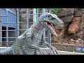 Triceratops Encounter Plus Raptor Blue in Jurassic World at Universal Studios Hollywood - Dinosaurs