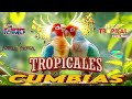 🔆CUMBIAS TROPICALES MIX 🦜VIEJITAS TROPICALES🎺ACAPULCO TROPICAL, TROPICAL FLORIDA, LOS KARKIS...