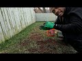 How To Quickly Repair Lawn Bare Spot Using This Lawn Tool