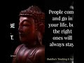 Best Buddha Quotes That Will Motivate You | Best Buddha Quotes | Buddha Quotes