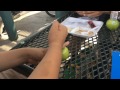 Tutorial - How To Crack An Apple Perfectly In Half