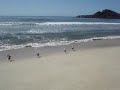 Gaivotas na Praia de São Pedro (Guarujá, 27/01/2020)