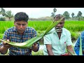 PALM FRUIT SARBATH | TENDER PALM FRUIT DRINK | Our Village Traditional Healthy Drink