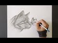 How to Draw a Cat with Butterfly   Pencil sketch