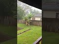 Just another Rainy Day In South Africa