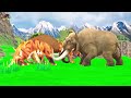 3 Zombie Cows Vs 3 Zombie Buffalos Fight Tiger Chase Cow Cartoon Saved by Woolly Mammoth Elephant