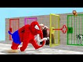 Spiderman with Cow Elephant Lion Gorilla Guess The Right Key ESCAPE ROOM CHALLENGE Animals Cage Game