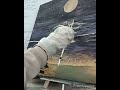 'Do You See Yourself' | Paint 🎨 W/ Me| Acrylic| Timelapse Art| Artist At Work