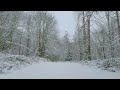 (4K UHD) Walking in a Snowy Forest - Crunching Snow Sounds for Relaxation 9 HOURS