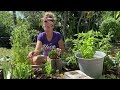 Learn the Seedsaving Secret That Makes Gardening Easier