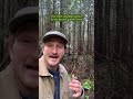 Differences between an Old Growth Forest and a Secondgrowth Forest