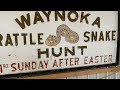 Waynoka Rattlesnake Hunt 2022