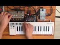 Volca Bass Ambient w/ Looper (TC Electronic Ditto)