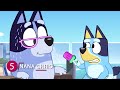 How Bluey's Older Brother Died - Characters Passing Away In Bluey