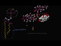 Lipid overview | Macromolecules | Biology | Khan Academy