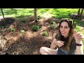 How to MAKE A BUTTERFLY GARDEN | Butterfly Garden Basics