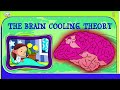 Top 7 Science Questions and Answers | Tia & Tofu Lessons for Kids | Science Trivia Fun For Kids