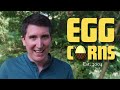 Are you getting these phrases wrong too? | EGGCORNS