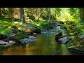 Calming Water Video, Soft Water Sounds, Perfect for Deep Sleep and Relaxation