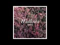 Wallows - Ground (Official Audio)