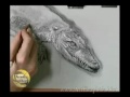 How to draw animals : Alligator (part 5 of 6)