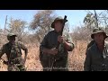 Zambezi Elephant Bull Hunt