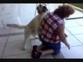 Dog shows love to his owner