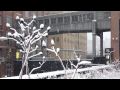 Snow on the High Line - February 10, 2010