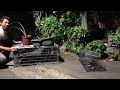 8:52完整版 Feral cat TNR Neighborhood Cats Drop Trap 20141002