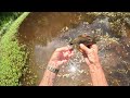 Me just talking and casting (caught 6 or 7 baby fish and a decent sunfish at the end)