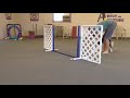 Teaching Left And Right To Your Agility Dog