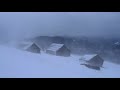 Fuerte tormenta de nieve * Tormenta de invierno en las montañas de Ucrania * Viento aullador