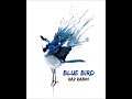 Raz Rabin - Blue Bird
