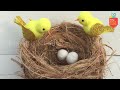 DIY Birds Nest Making idea 🐥 | DIY Bird House | Birds showpiece hanging | Wall Hanging craft ideas