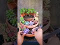 13 Succulent DIY Ideas| 13 Ý tưởng trang trí sen đá cực đẹp| 多肉植物| 다육이들 | Suculentas