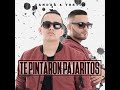 Te Pintaron Pajaritos (feat. Andy Rivera)