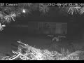 Real Fairies I caught on my security camera! NOT FAKE!