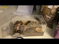 Unboxing Microvarium